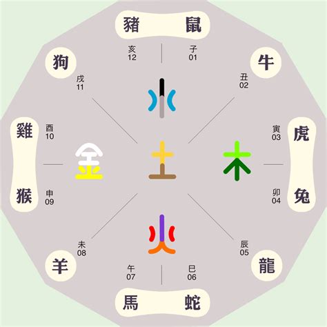 生肖 五行|十二生肖五行属性对照表，古人的智慧，值得品读和借鉴！